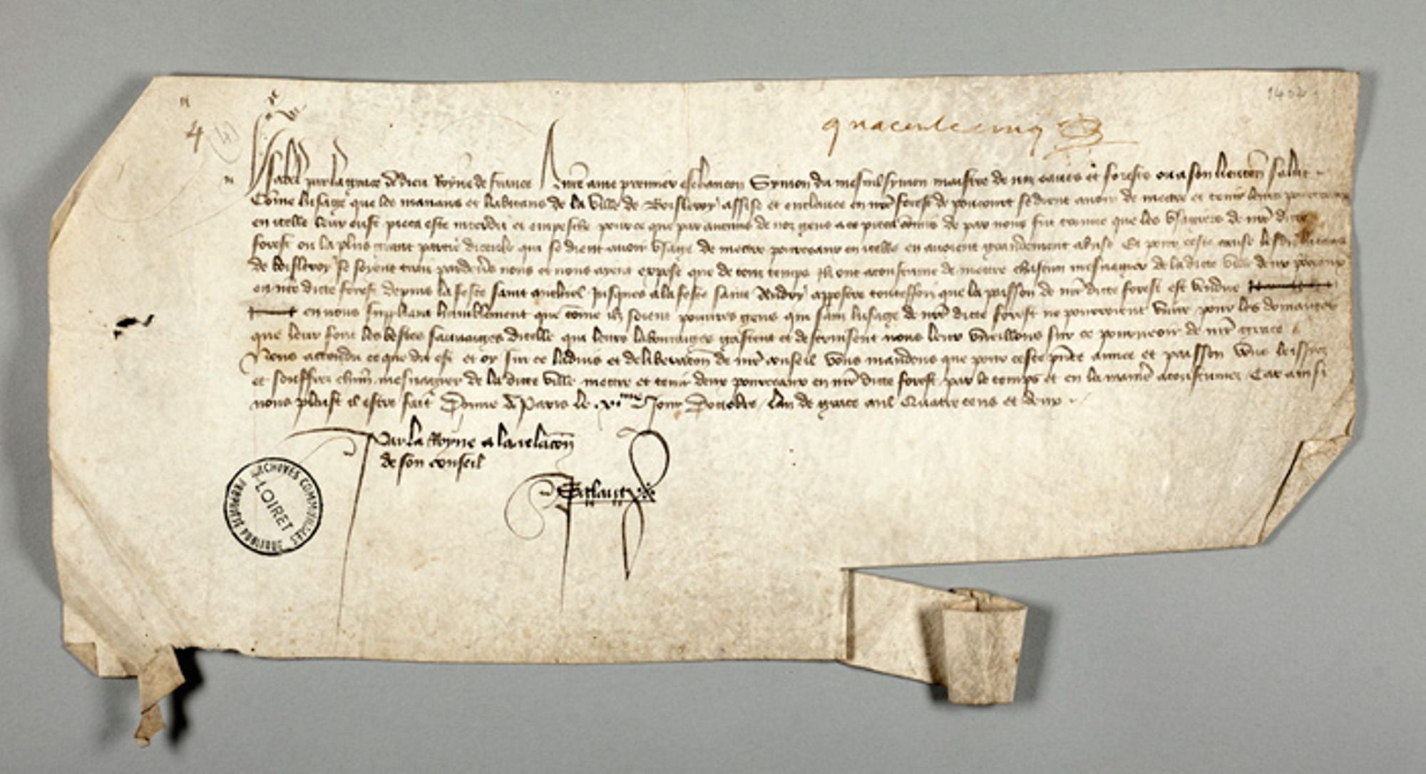 Charte d’Isabeau de Bavière, reine de France, autorisant les habitants du hameau de Bois le Roi (Griselles) à faire pacager leurs pourceaux en forêt de Montargis, 11 octobre 1402. Archives communales de Griselles, 299 O Suppl. DD1