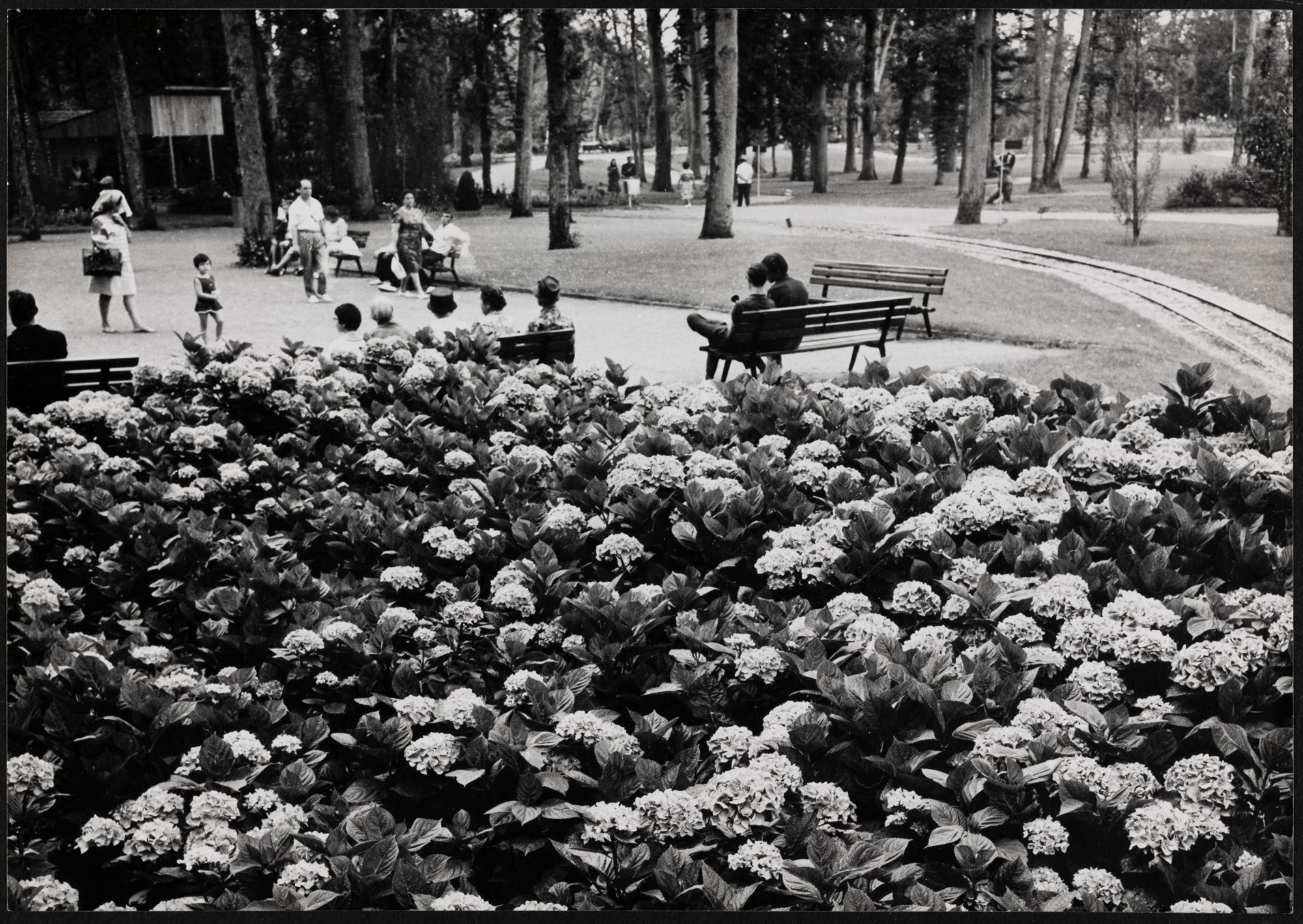 Photographie de l'intérieur du parc (sans date). (Arch. dép. du Loiret,1240 W 84)