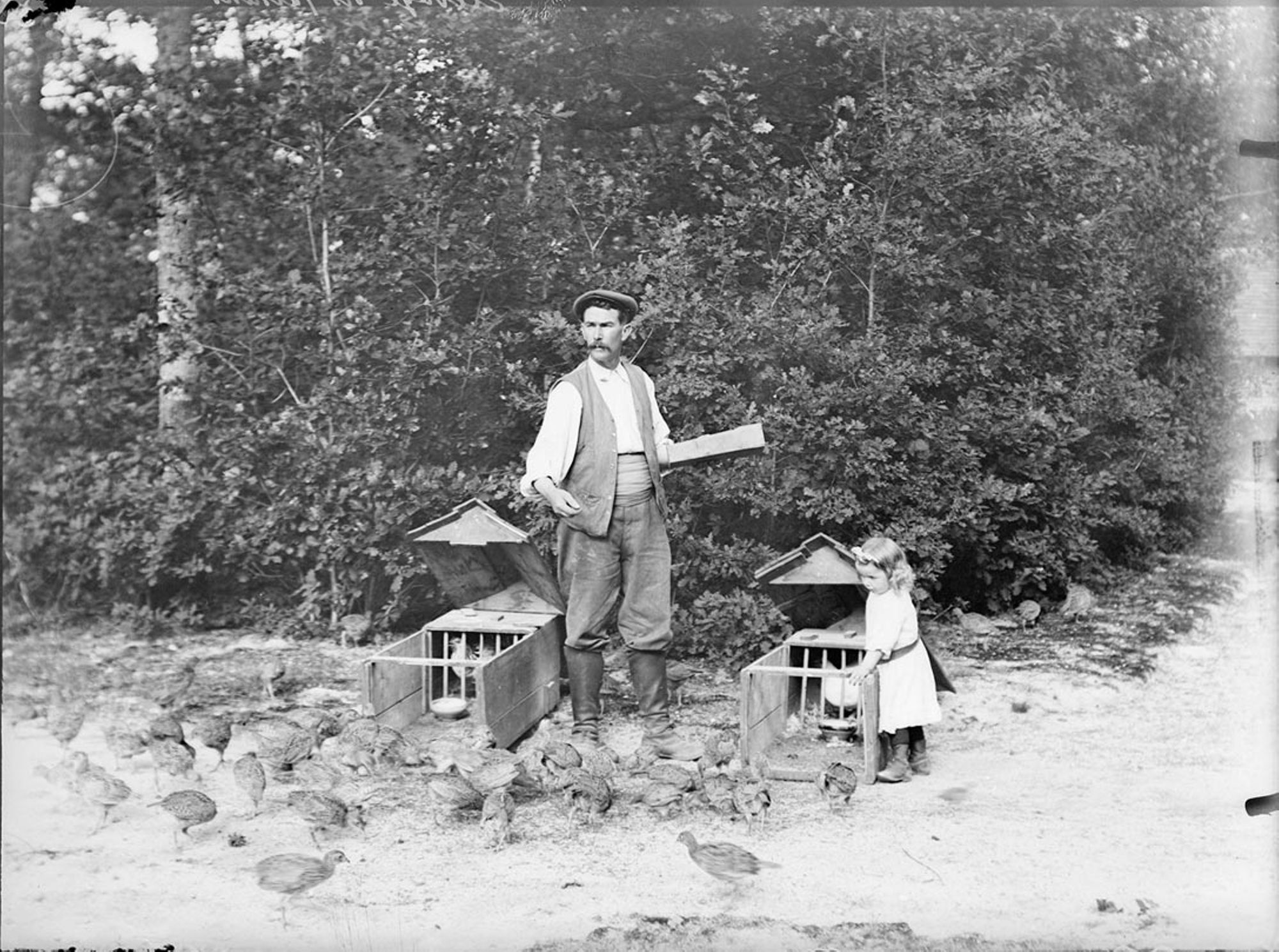 Eleveur de faisans, La Ferté-Saint-Aubin, vers 1900-1920