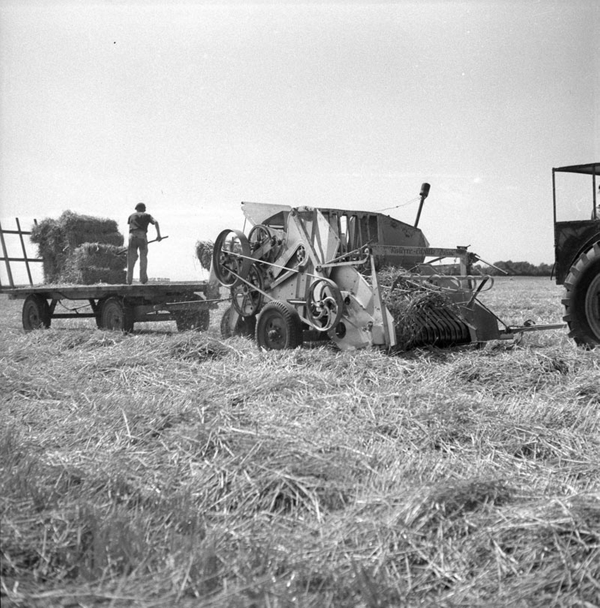 Scène de moisson, matériel Rivierre-Casalis, 1950-1960