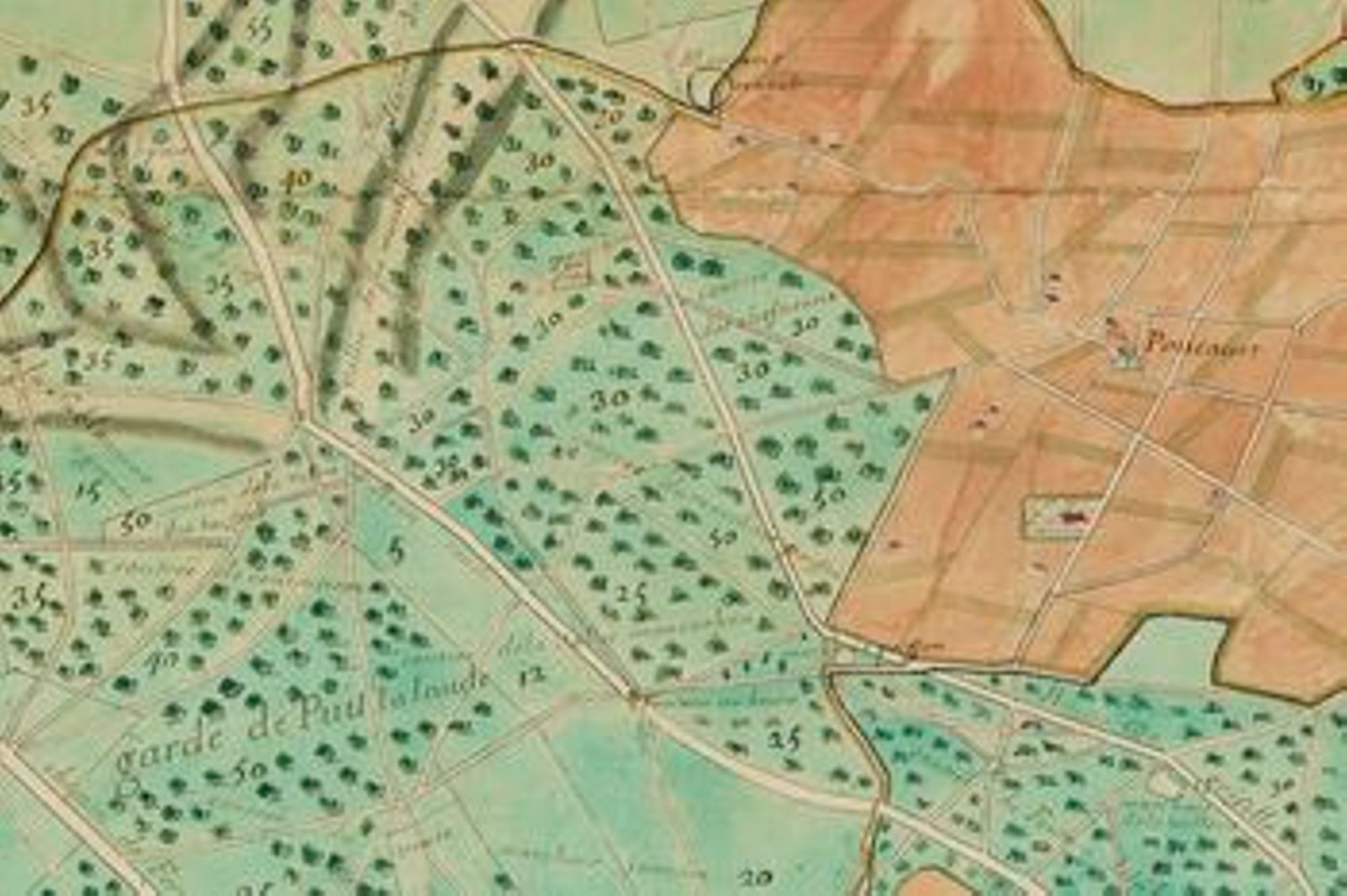 Mise en ligne des plans des Eaux et Forêts