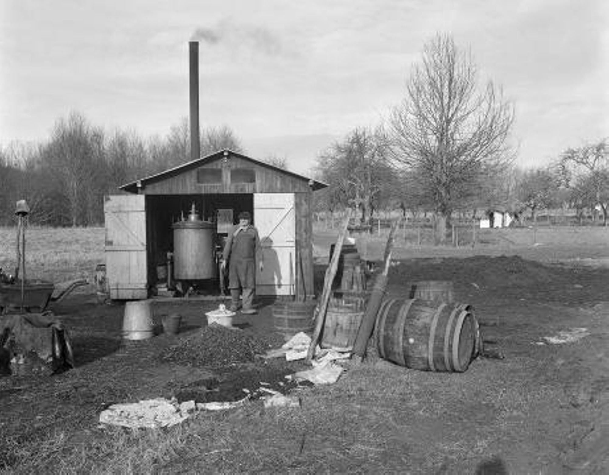 Saint-Firmin-sur-Loire, M. Dabard, distillateur. (mars 1980)