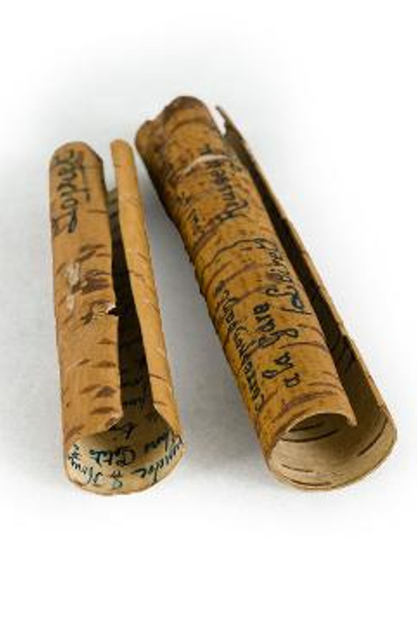 Cartes postales écrites sur écorces d'arbres (1914)